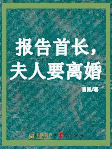 报告首长，夫人要离婚